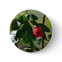 Single Red Flower Pins