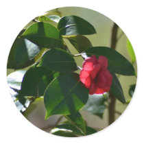 Single Red Flower Stickers