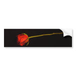 Single Red Rose Bumper Stickers