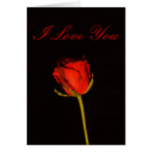 Single Red Rose Card