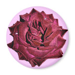 Single Red Rose Refrigerator Magnets