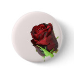 Single red rose on a light pink background. buttons