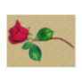 Single Red Rose Postcard