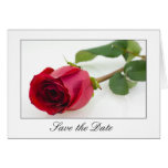 Single Red Rose, Save the Date Note Cards