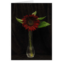 Single Red Sunflower Greeting Cards