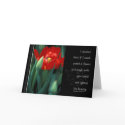 Single Red Tulip with Quote cards