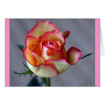 "Single Rose" (Blank) Card