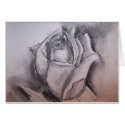 single rose drawing cards