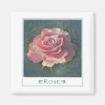 Single Rose Refrigerator Magnets
