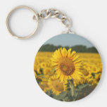 Single Sunflower in a Field of Sunflowers Keychain