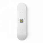 Single Treasures SkateBoard