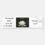 Single Water Lily on Dark Water - Serenity Bumper Stickers