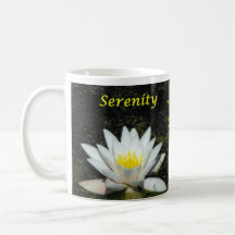 Single Water Lily on Dark Water - Serenity Mug