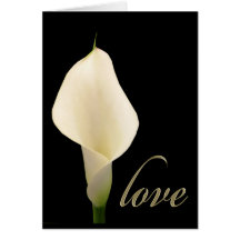 Single white calla lily cards