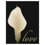 Single white calla lily flyers