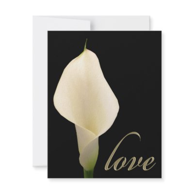 Single white calla lily personalized invites by perfectpostage