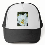 Single White Cattleya hats