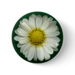 Single White Chrysanthemum buttons