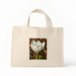 Single white crocus bags