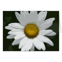 Single White Daisy Card