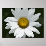 Single White Daisy Print