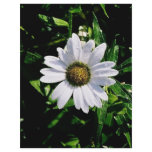 single white flower flyers