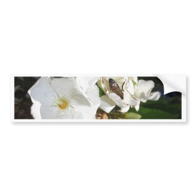 Single White Oleander with Bee 1 Bumper Sticker by LivingNature