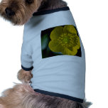 Single Yellow Buttercup flowers pet clothing