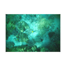 Single yellow fish in coral canvas stretched canvas prints