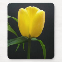 Single yellow tulip flower mouse pads