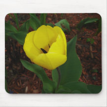 Single Yellow Tulip Mousepads