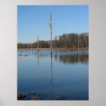 Singular reflection print