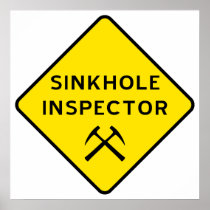 Sinkhole Inspector Poster