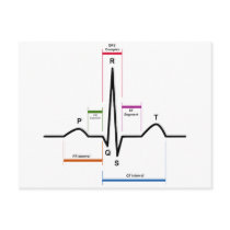 Sinus Rhythm in an Electrocardiogram ECG Diagram Postcard
