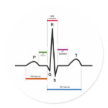 Sinus Rhythm in an Electrocardiogram ECG Diagram stickers
