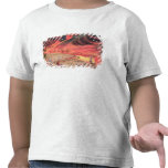 Sir William Hamilton  Studying the Eruption t-shirts