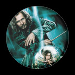 Sirius Black and Bellatrix Lestrange magnets