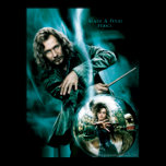Sirius Black and Bellatrix Lestrange posters