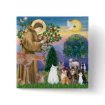 Sister Frances Blessing 5 cats buttons