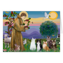 Sister Frances Blessing 5 cats Cards