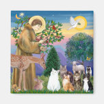 Sister Frances Blessing 5 cats Refrigerator Magnet