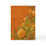 Sister-in-Law Happy Birthday Spanish Orange Tree, cards