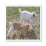 Sister's Goats Fridge Magnets
