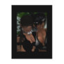 Sisters Post Card