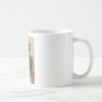 Sit and Spin mugs