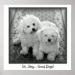 Sit...Stay...Good Dogs! Poster Print