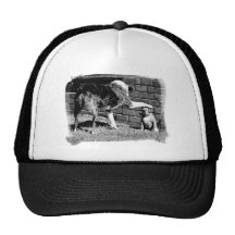 Sit- - - Stay - - - Hat