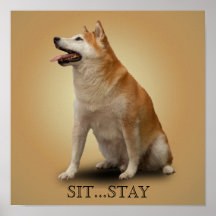 SIT...STAY POSTER
