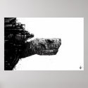 SIT "Turtle" posters
