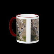 Sita Mug